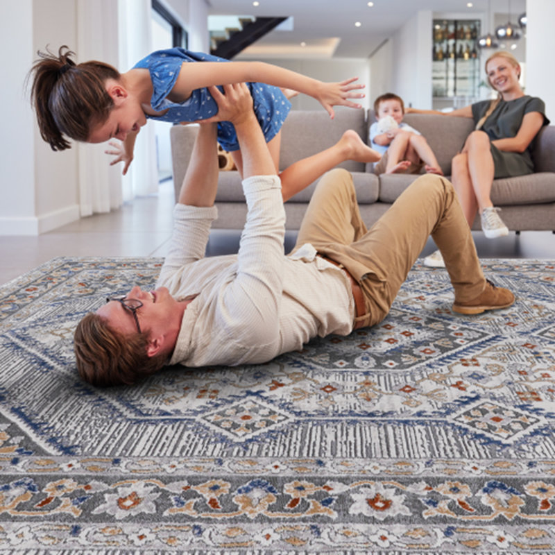 Non-Shedding Living Room Bedroom Dining Home Office Stylish and Stain Resistant Area Rug, Rectangle 2' x 3'