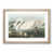 Oak Framed selected