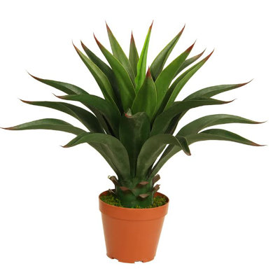 23.5" Potted Green Agave Americana Artificial Succulent Plant