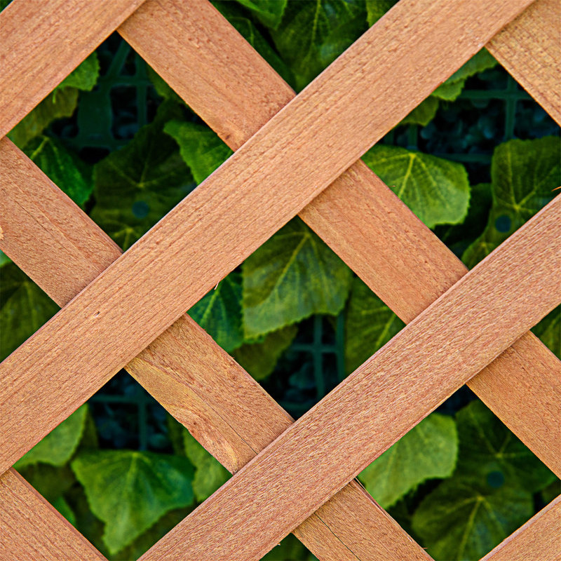 Boîte à fleurs surélevée en bois avec jardin