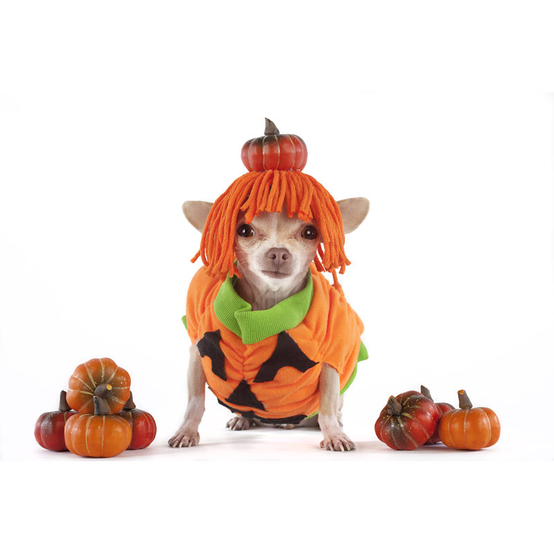 Halloween by Maiteali - No Frame Art Prints on Canvas, 51cm H x 76cm W
