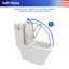 Toilette une pièce Rainlex RX-T27W