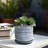 Contemporary Dotted Ceramic Planter with Saucer-303800574-303800573