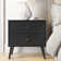 Breux 24.75'' W Nightstand