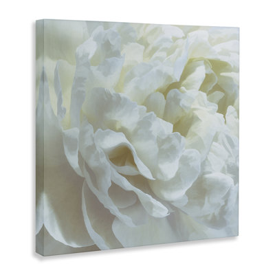 Elegant White Petals Canvas, design by David Pollard