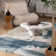 Oberon Indoor Rug