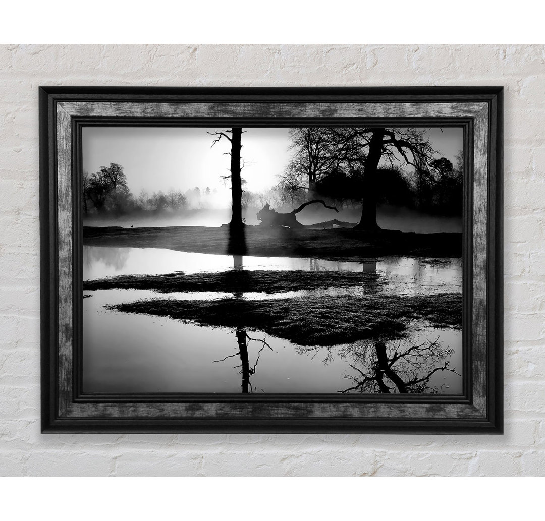 Sunset Forest Waters B N W - Einzelne Bilderrahmen Kunstdrucke