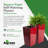 Pot Planter
