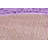 Angeline Indoor Rug-717740046