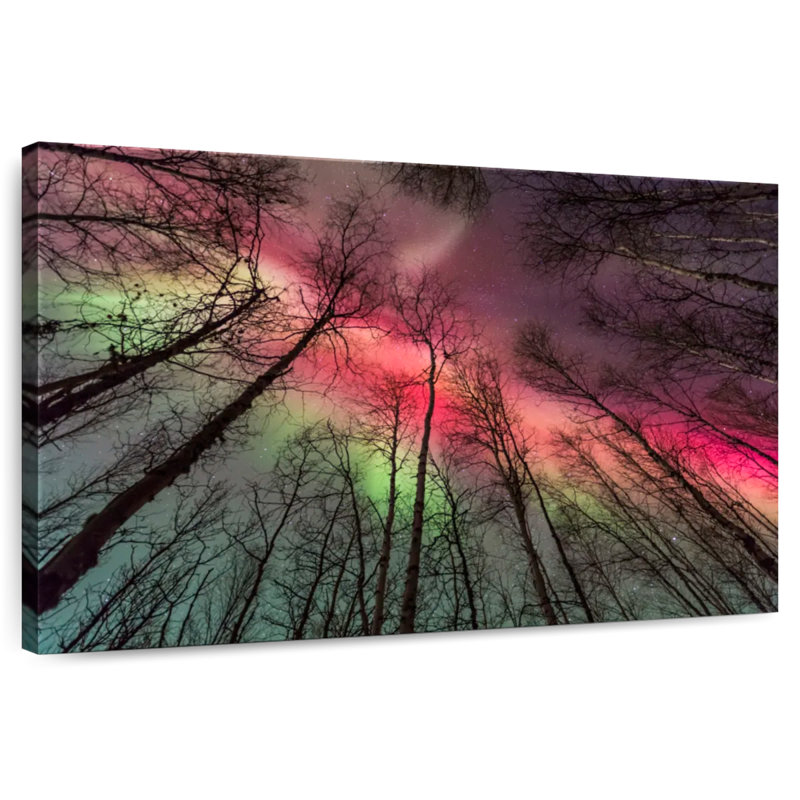 Alvord Fairbanks Forest Northern Lights