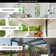 LED Ceiling Fan