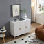 Console en bois avec porte, tablettes