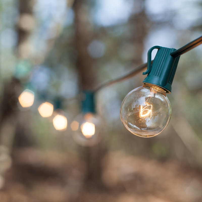 Shue Outdoor 25 - Bulb 25'' Plug-in Globe String Light
