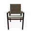 Bazza Outdoor Dining Chair-529171561-529171557
