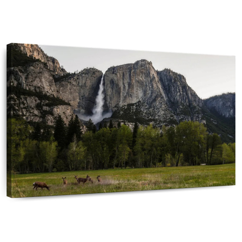 Cerf contre les chutes de Yosemite, H 20 po x l 30 po