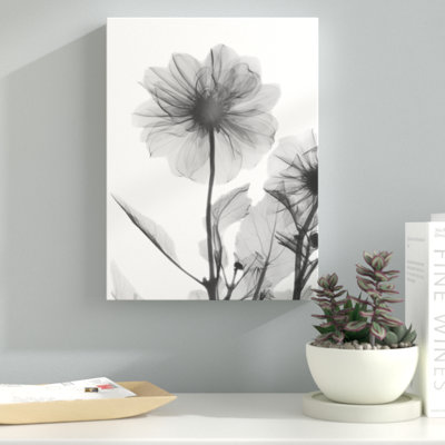 Dahlia Twins - Wrapped Canvas Print
