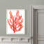"coral kelp i" par paul cezanne-reproduction d’art sur toile encadrée-2135966801-2135966800