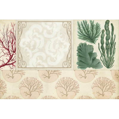 Coastal Patternbook II by Vision Studio - Print on Canvas