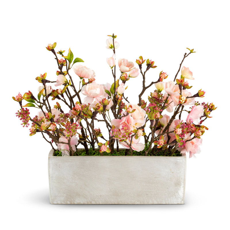 Caroma Blush Mixed Florals