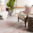 Asifa Soft Power-Loomed Oriental Area Rug with Medallion Design and Scrolling Border by Jaipur Living-2127168465