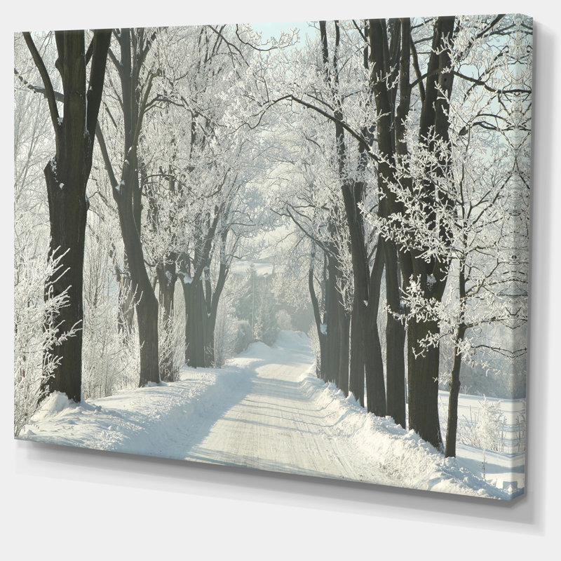 «Country Road Entre Foggy Trees», photographie, H 16 po x l 32 po x P 1 po, Toile tendue