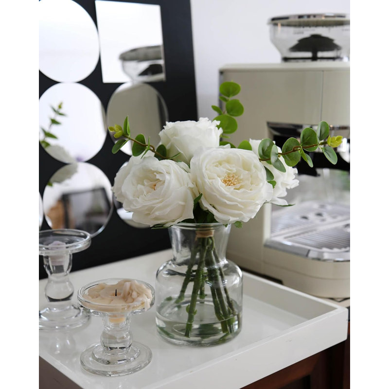 Plante de 13 po, Blanc