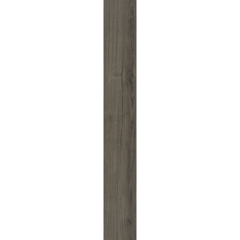 Parquet stratifié chêne 7,5 po x 54 po x 8 mm Empire Plus, Starlight