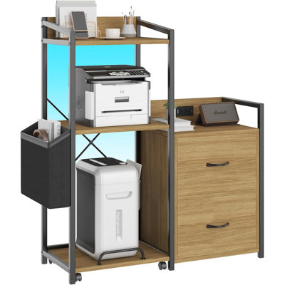 2-Drawer File Cabinet with Power Strip & LED Lights, Multi-Function Printer Stand for Home Office by Ebern Designs