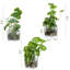 Ensemble de 3 plantes artificielles en verre