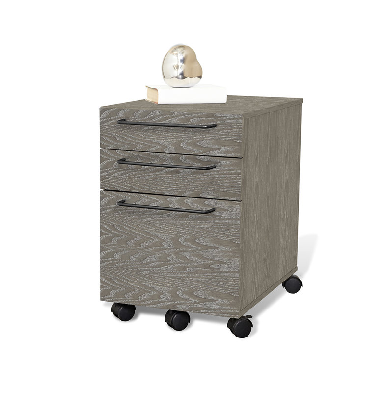 Tarbes 3-Drawer Mobile Vertical Filing Cabinet, Gray