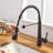 Fapully Pull Down Kitchen Faucet-61533822
