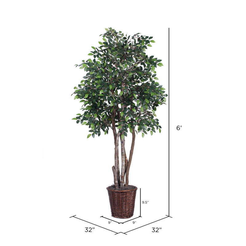 Mini-ficus artificiel extra complet, H 72 po x l 32 po x P 32 po, Brun