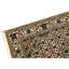 Hand Knotted Oriental Area Rug in Cream
