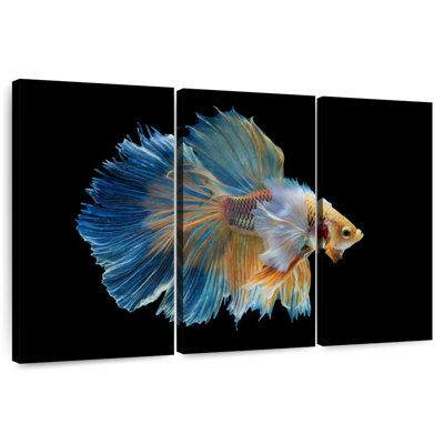 Brampt Sublime Fighter Fish