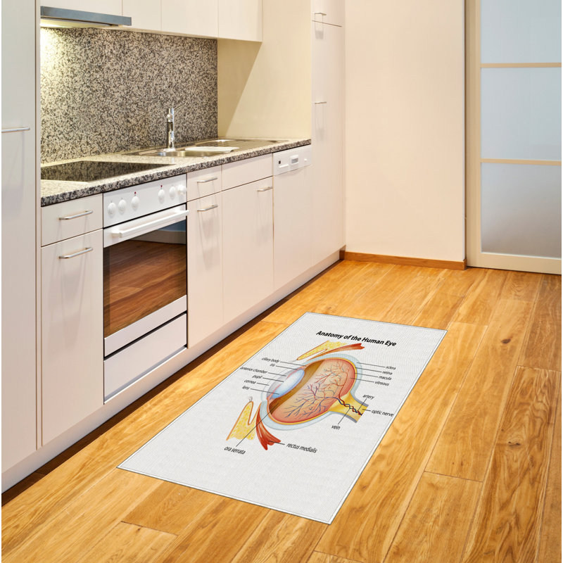 Tapis décoratif à longues fibres en fibres à haute densité Science, Rectangle— 4 pi x 5 pi 8 po