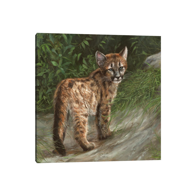 Cougar Cub 1 Piece Painting on Canvas, 93.98 cm H x 93.98 cm W x 1.91 cm D, Wrapped Canvas