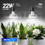 Ampoules Barrina Orbgrow Og11a pour plantes d'intérieur, 5000k 22w (2 x 11w, 200 watts équivalents), ampoule E26, 2 paquets, blanc