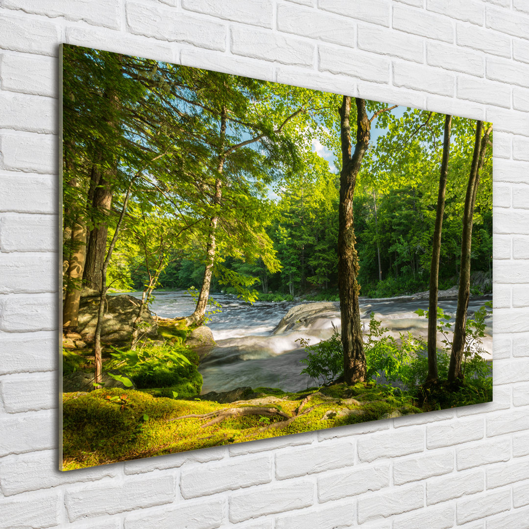 Glasbild Fluss im Wald