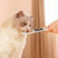 Cuillère d'alimentation pour animaux pour gâteries pour chats, 5,7 po x 2,56 po-131216085