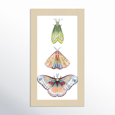 Neo Moth Fairies II par Neo
