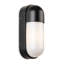 Black 24cm H Outdoor Bulkhead Light