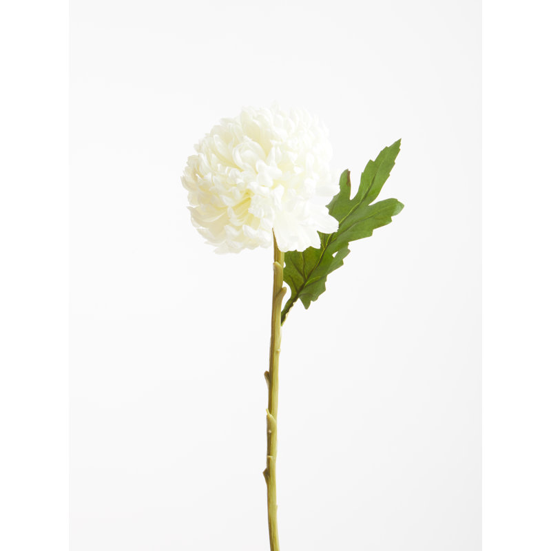 Fiori Chrysanthemum Arrangement