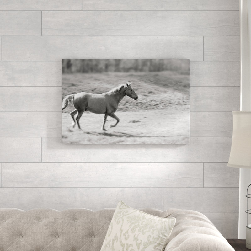Reproduction de photo sur toile, "pâturage Run" par Sue Schlabach, H 20 po x l 30 po
