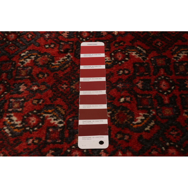 Tapis rouge Andelz 2 pi 10 po x 10 pi 3 po