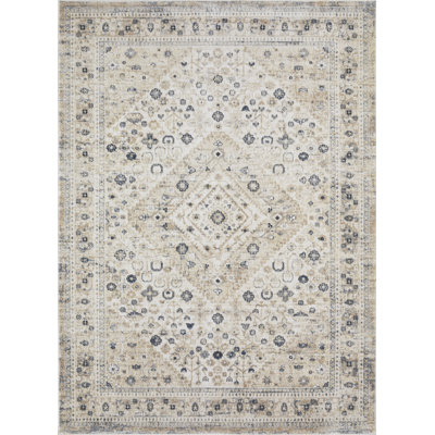 Aldoyn Oriental Indoor Rug