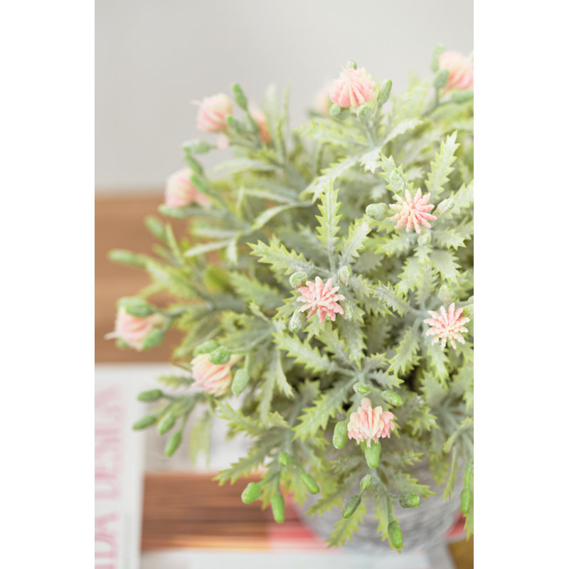 Delicate Fruit In Pot (red And Pink)