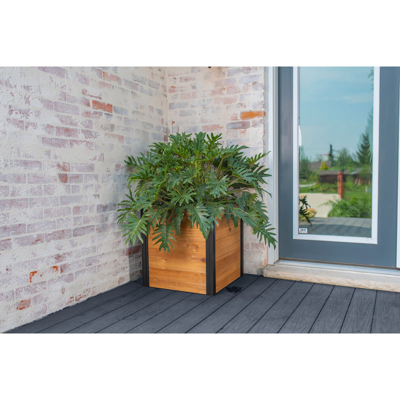 Boîte à fleurs en bois Mezza