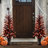 Porch Tree Net Lights