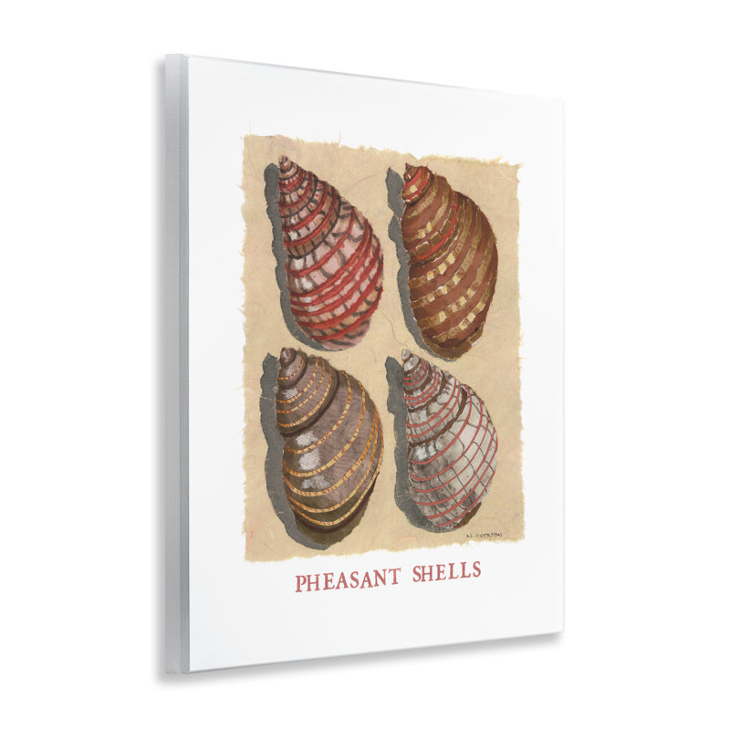 Plaque murale Nautical Pheasant Shells, design par Nancy Overton