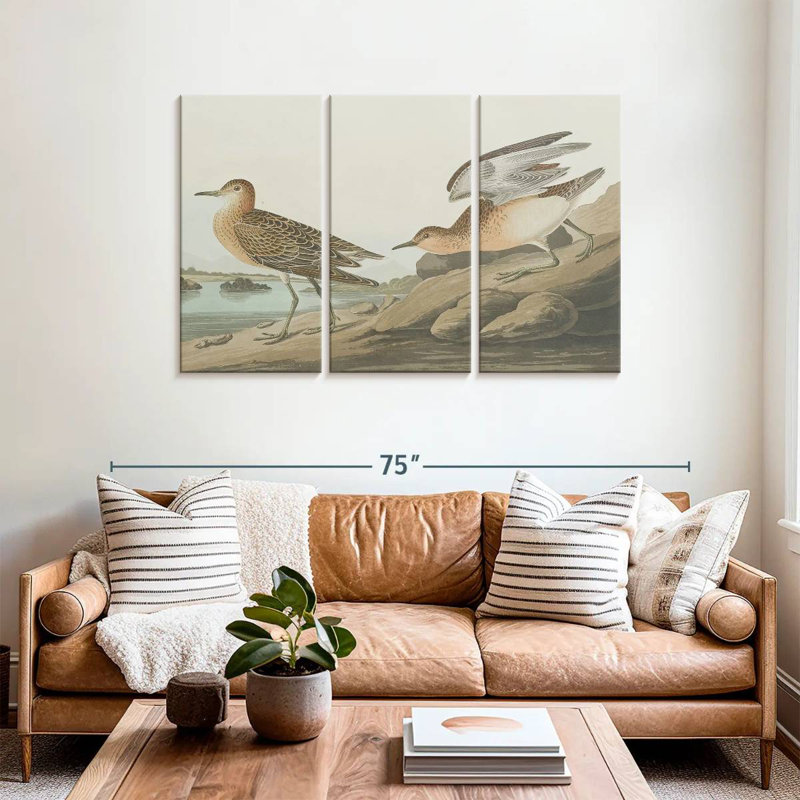 Brampt Buff Breasted Sandpiper, 36" H x 57" W